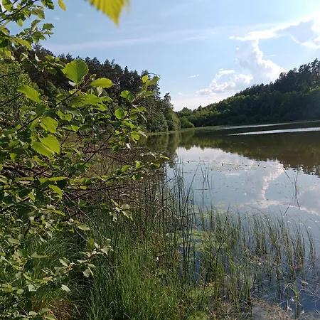 Lesny Zakatek Z Kominkiem * Wielki Bartel